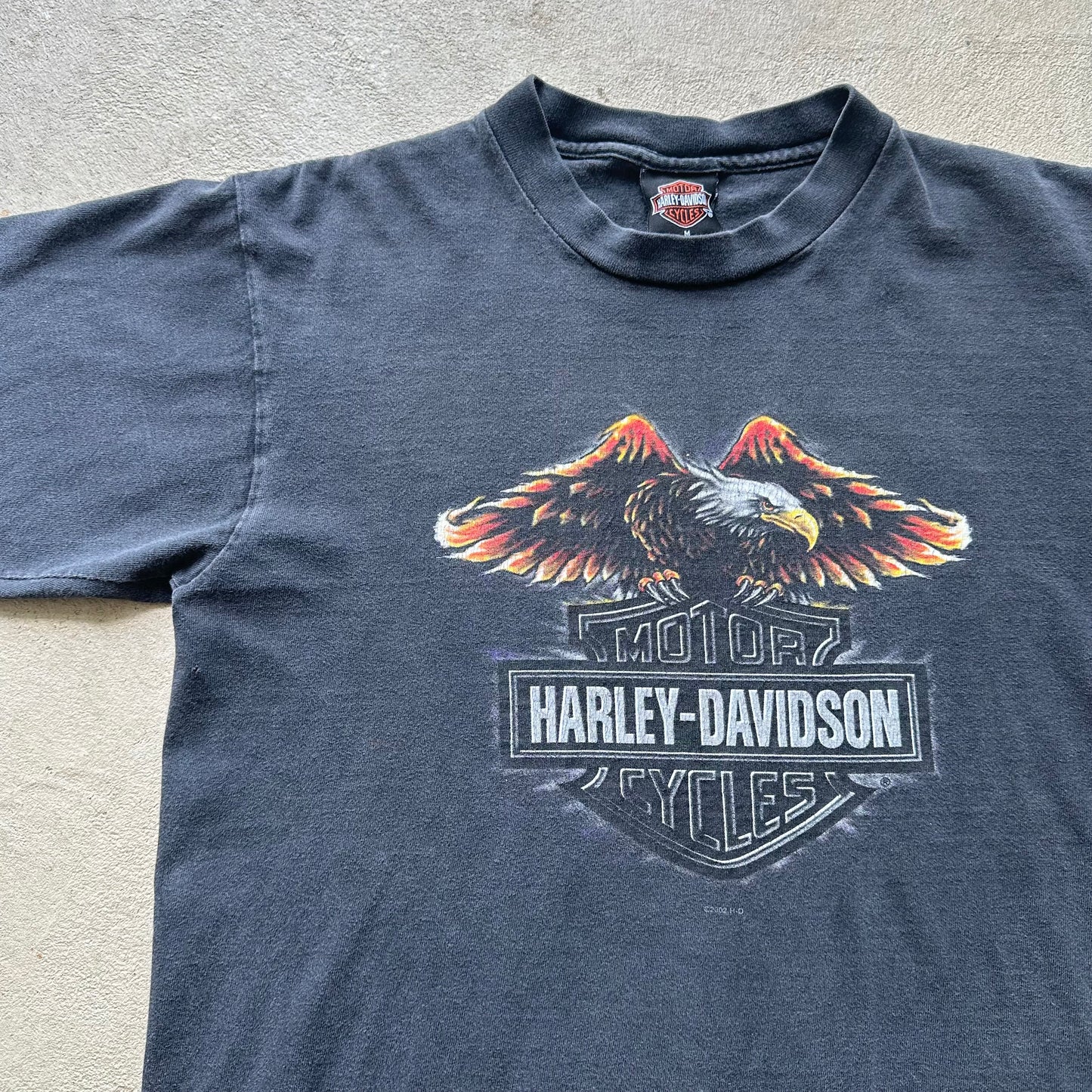 Vintage 00's Harley Davidson Tee - M