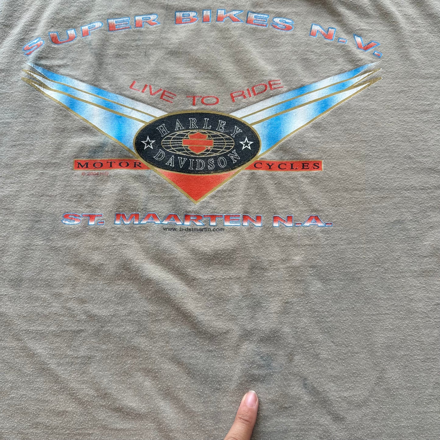 Vintage Harley Shirt