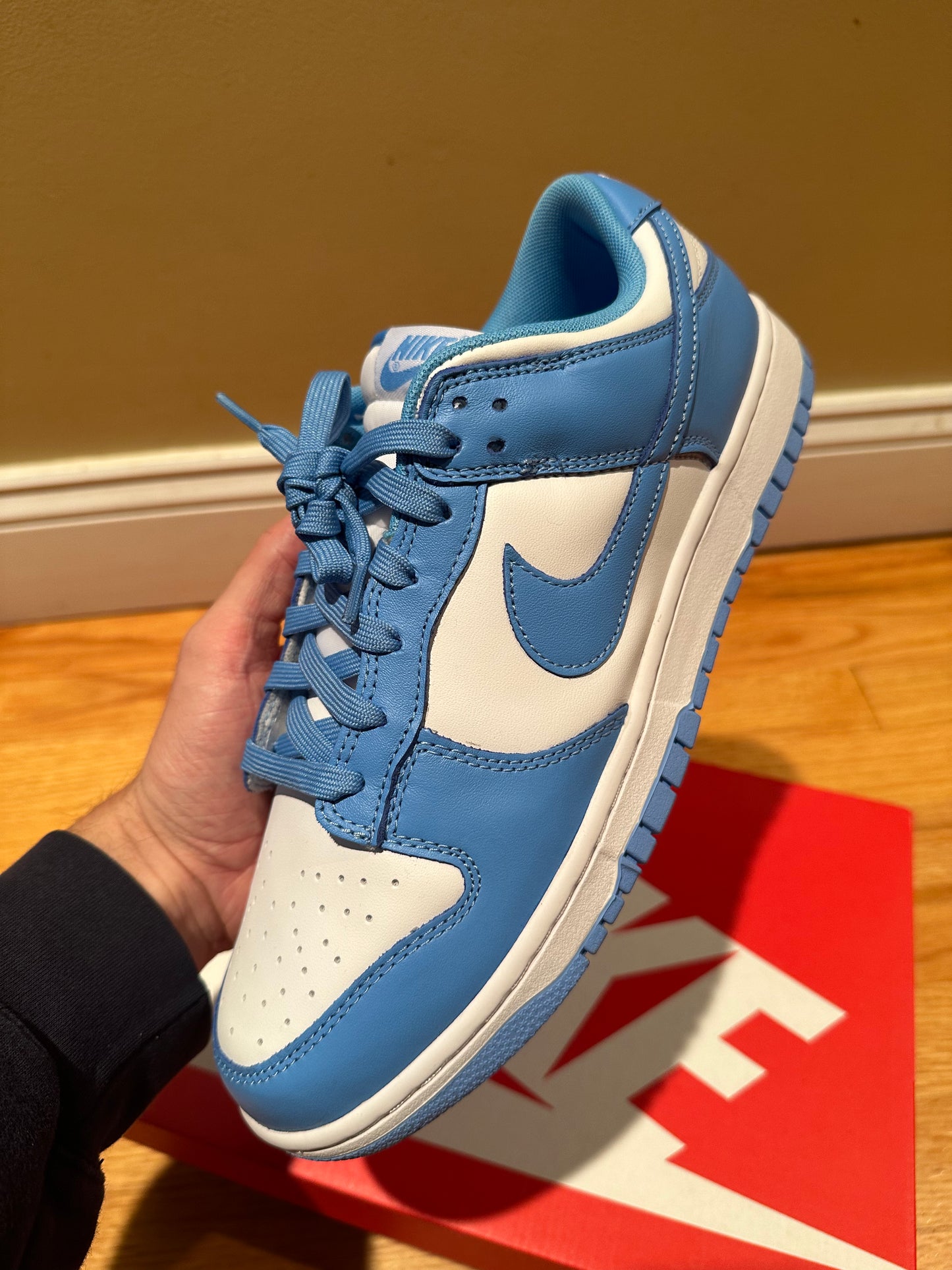 2021 UNC Nike Dunk Low