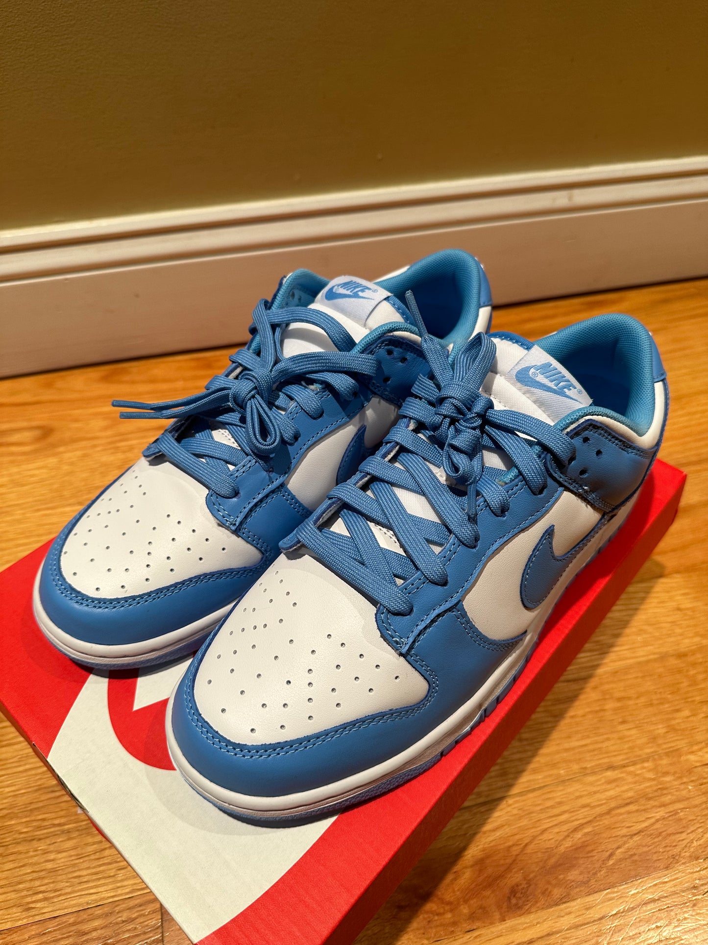 2021 UNC Nike Dunk Low