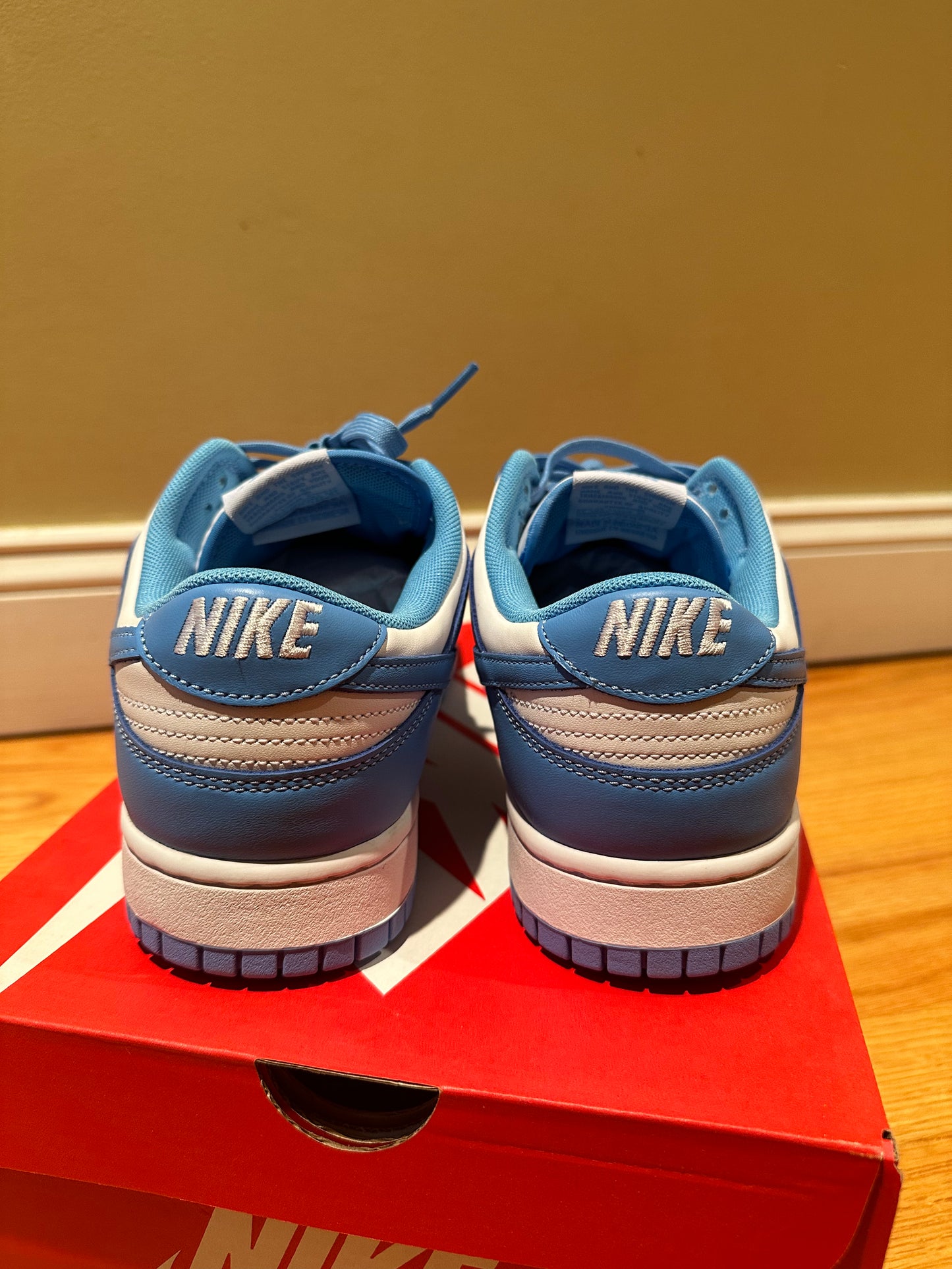 2021 UNC Nike Dunk Low