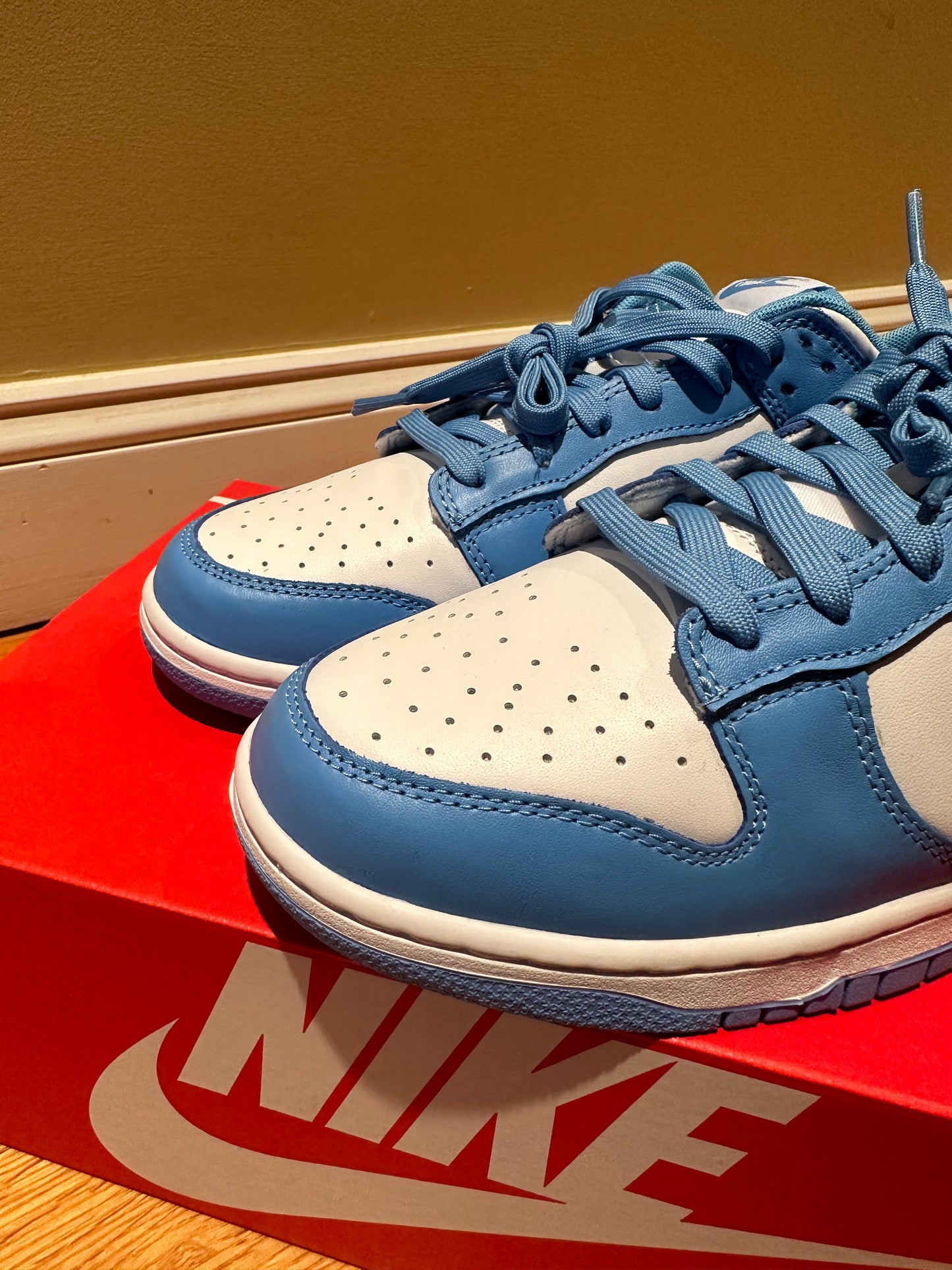 2021 UNC Nike Dunk Low