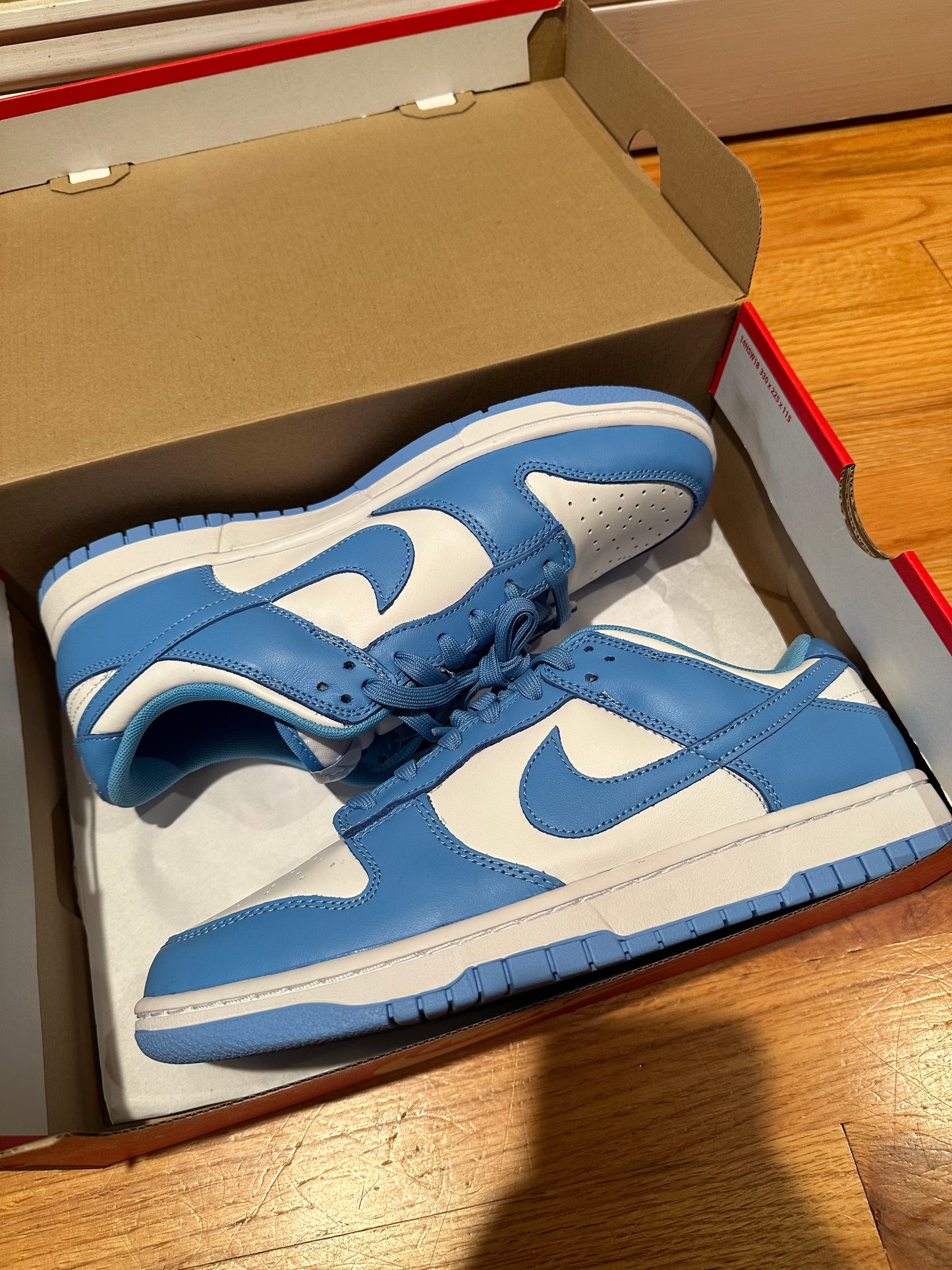 2021 UNC Nike Dunk Low