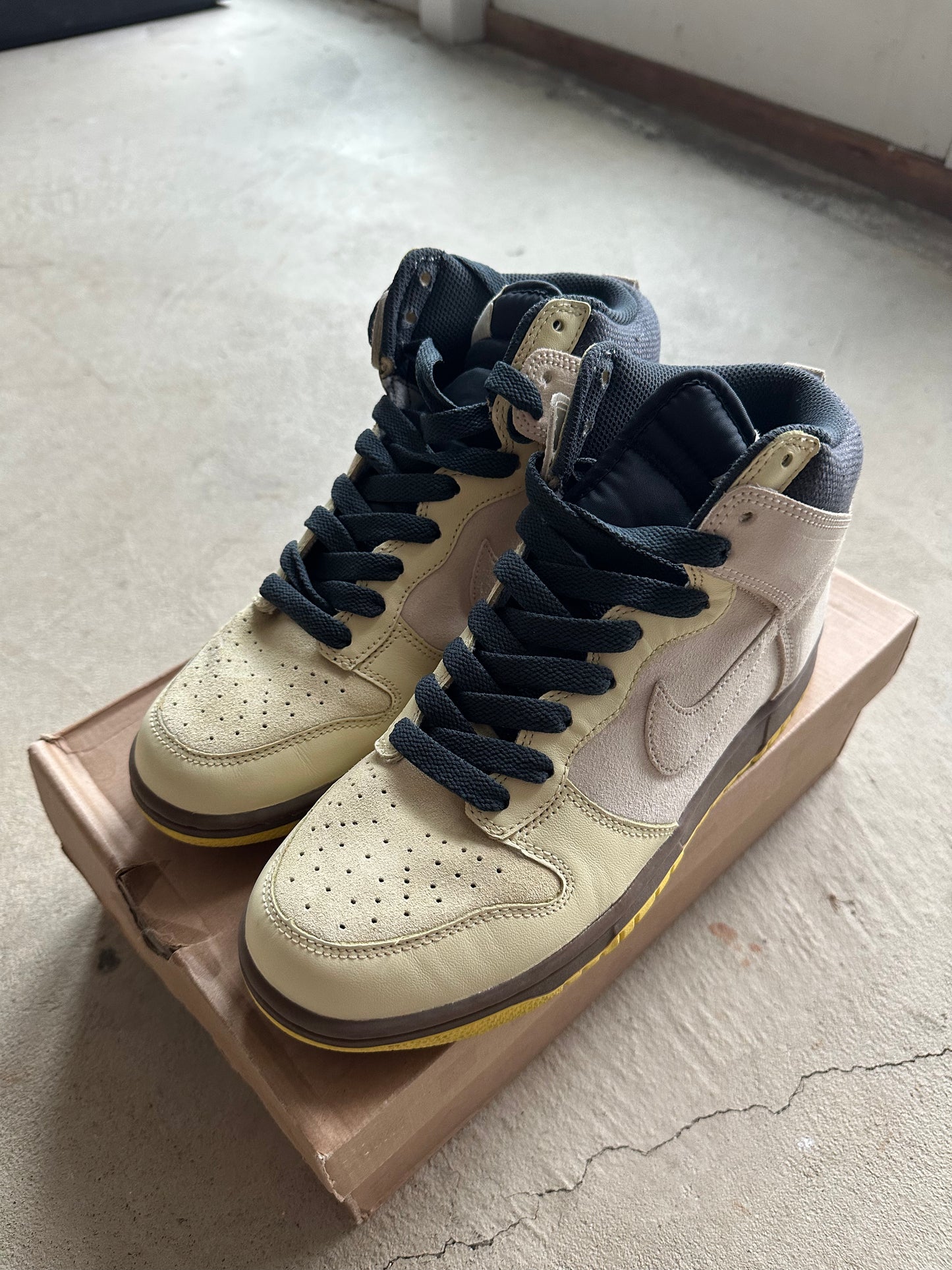 Dunk SB High (Size 7.5 Men's/9 Women's)